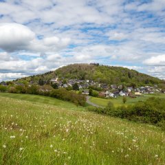 Blick auf den Ort Aremberg